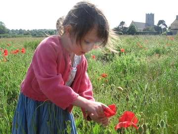 The Poppy Fair