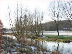 River Waveney in Winter