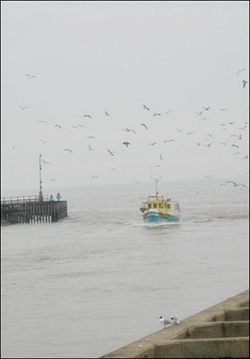 March 2009, Walberswick