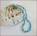 Apatite and Turquoise Necklace and Earrings (CG73)