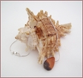 Landscape Jasper Pendant on Silver Snake Chain (LS99)